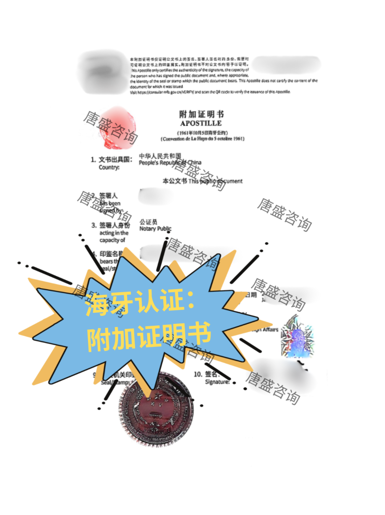 海牙认证