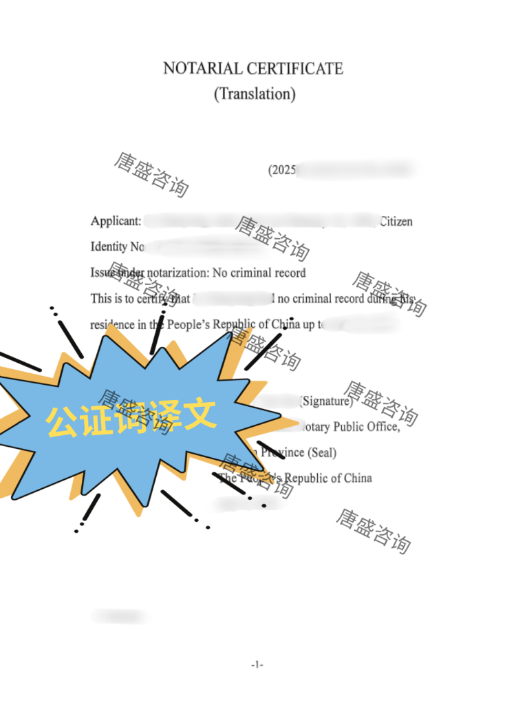 无犯罪记录公证