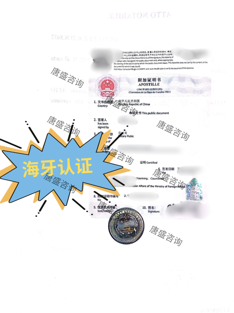 海牙认证