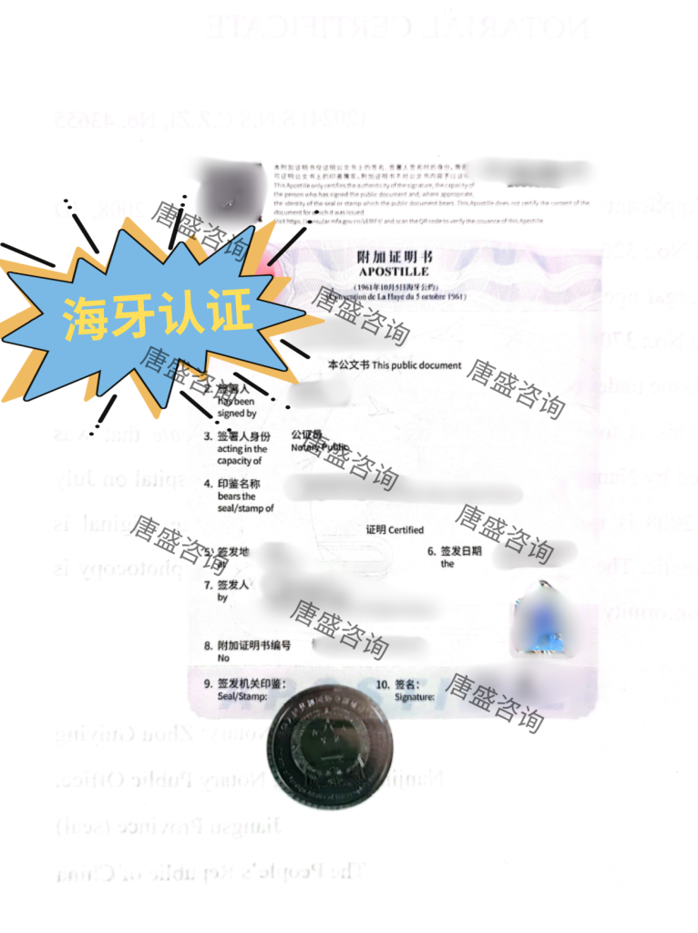 海牙认证