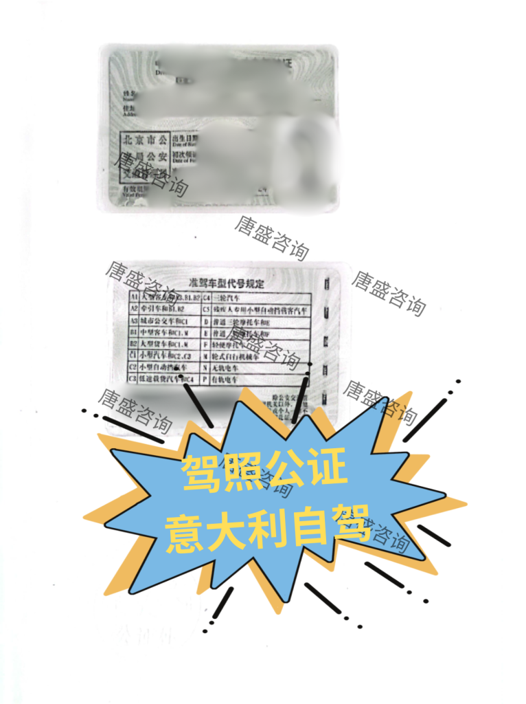 驾照公证