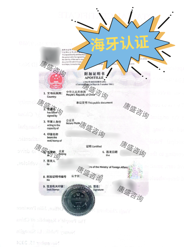 韩国使用办理海牙认证