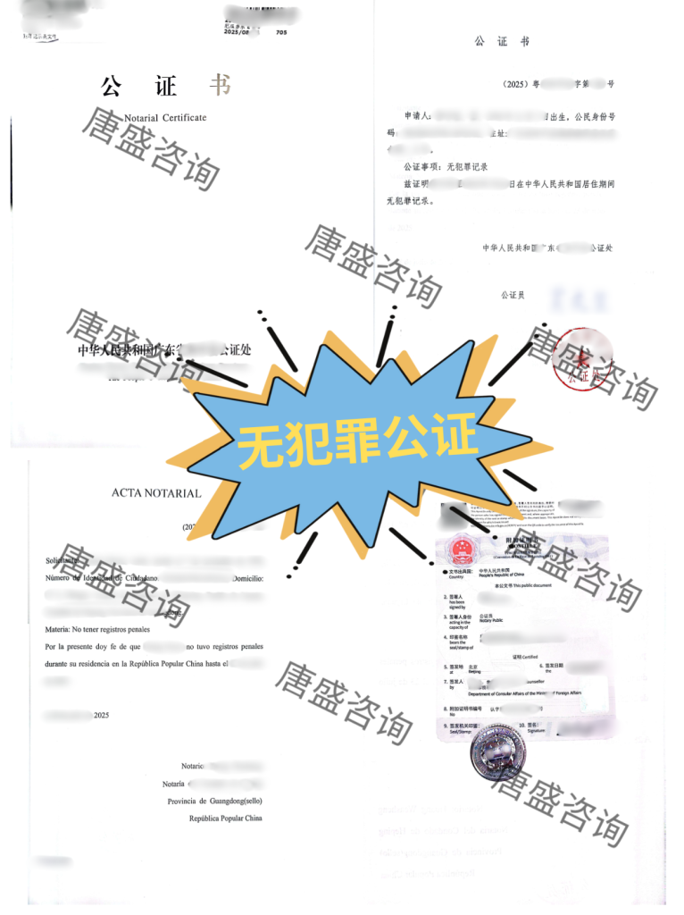 厄瓜多尔电子签:无犯罪公证