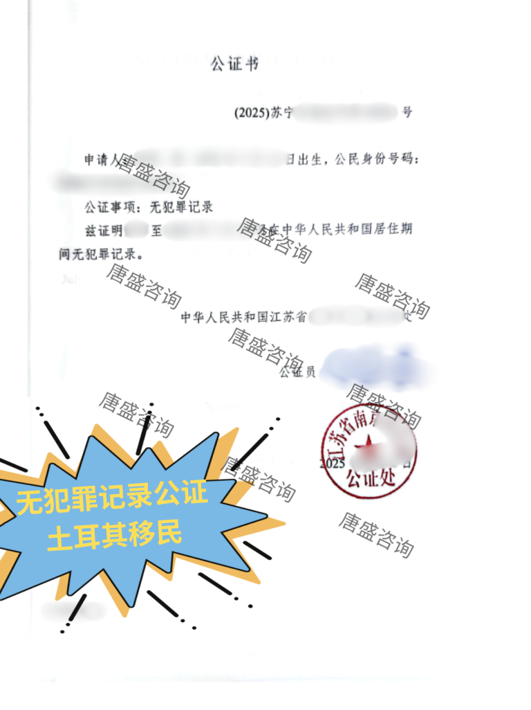 无犯罪记录公证 土耳其移民
