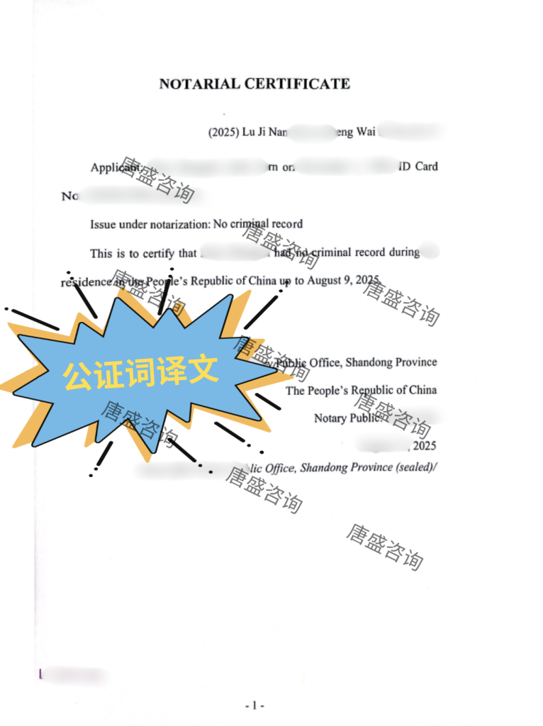 无犯罪记录公证+海牙认证