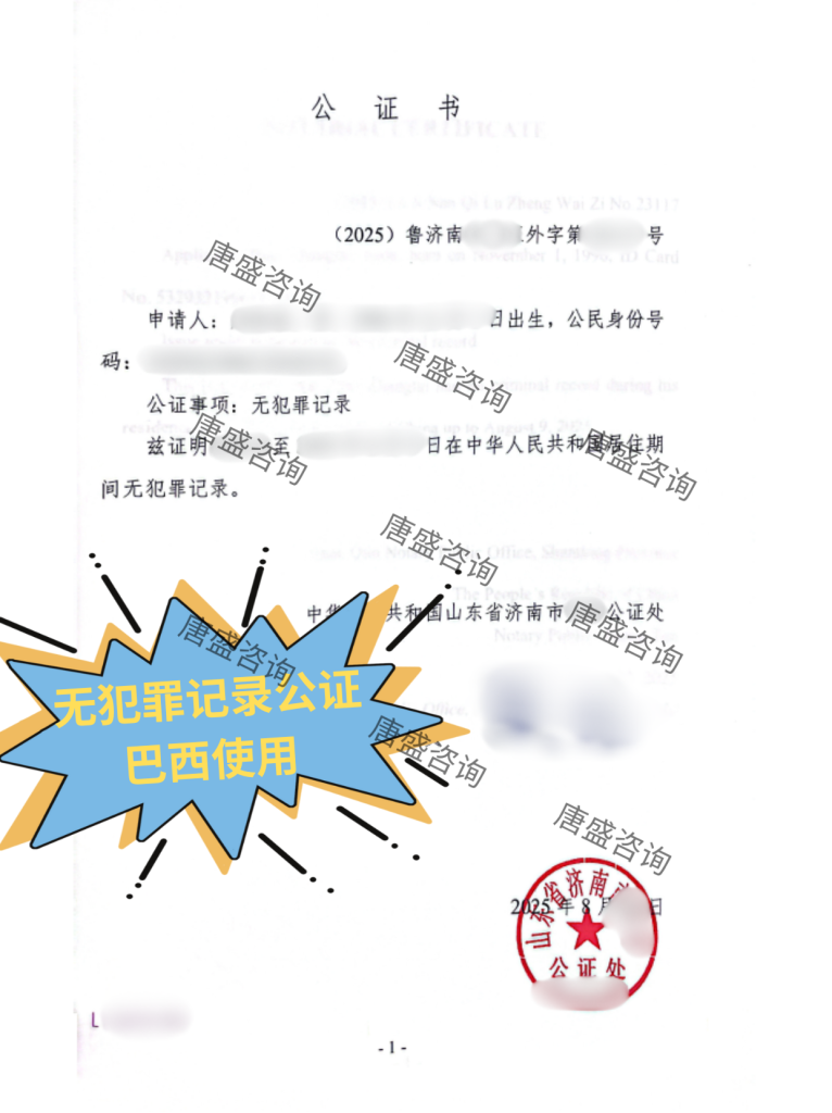 无犯罪记录公证+海牙认证