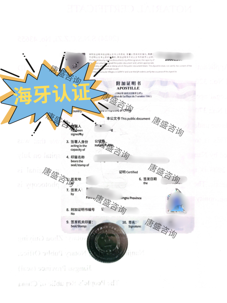 出资声明公证 海牙认证
