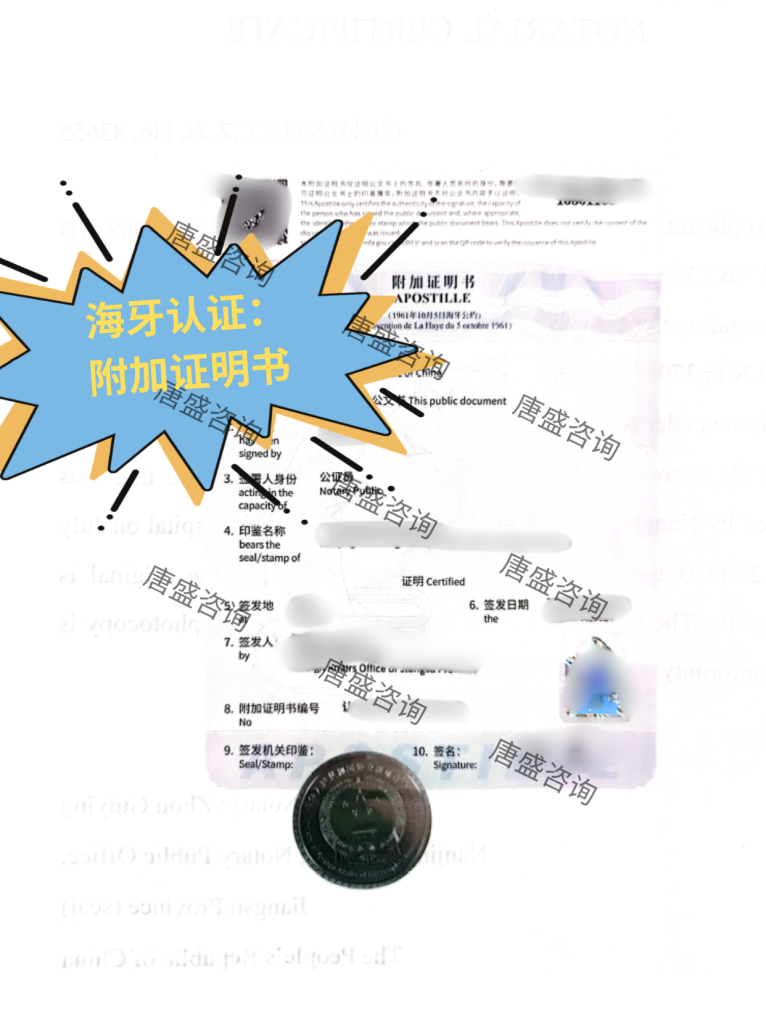 海牙认证自己办