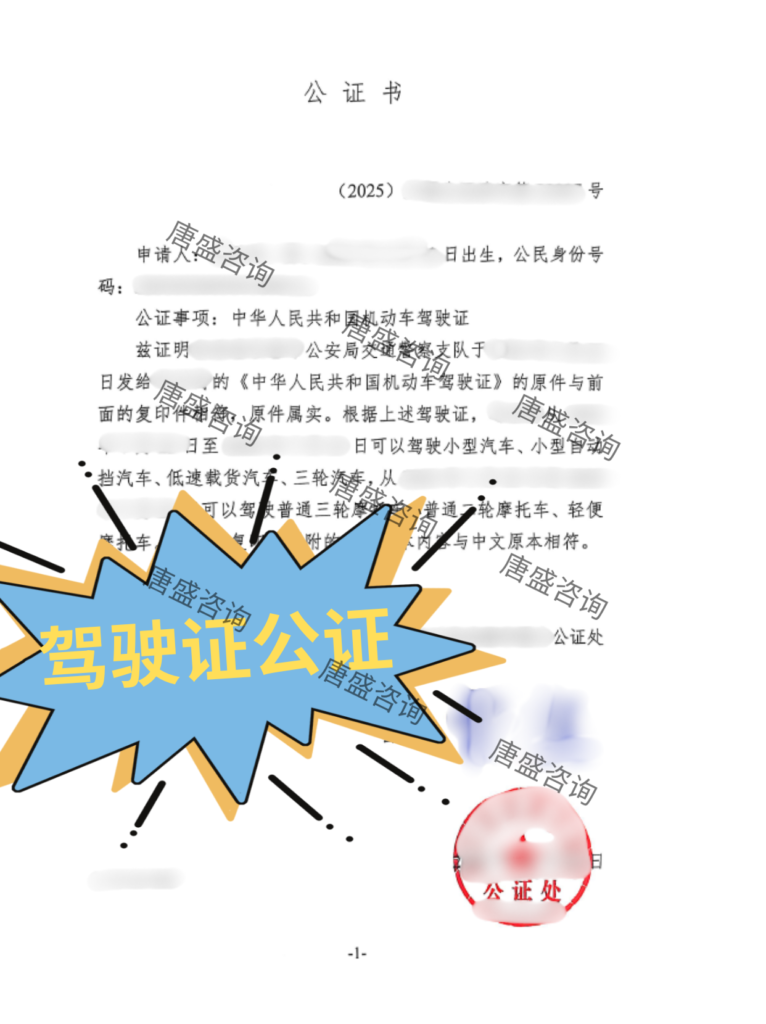 驾照公证 瑞士