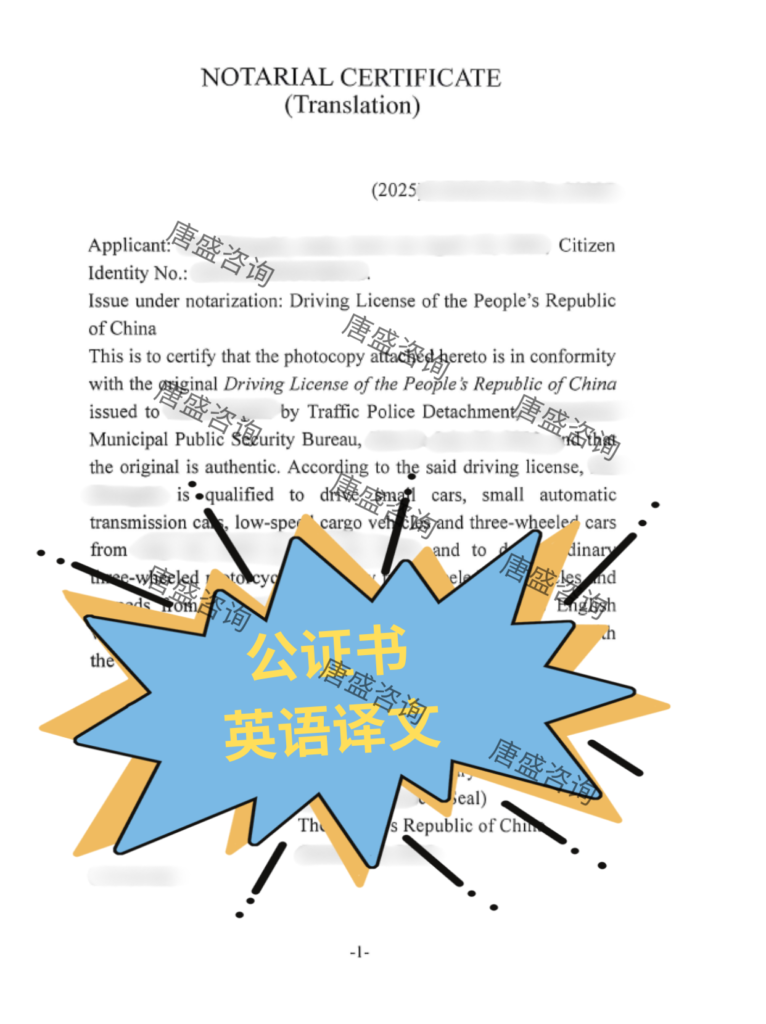 驾照公证 瑞士