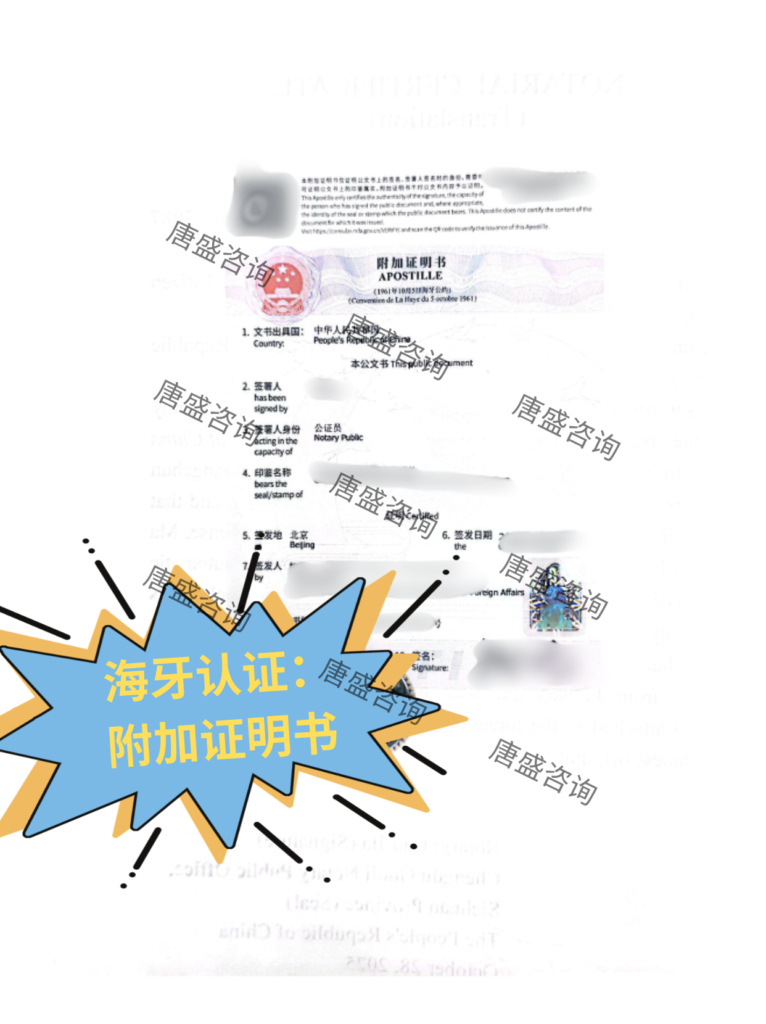 驾照公证 瑞士