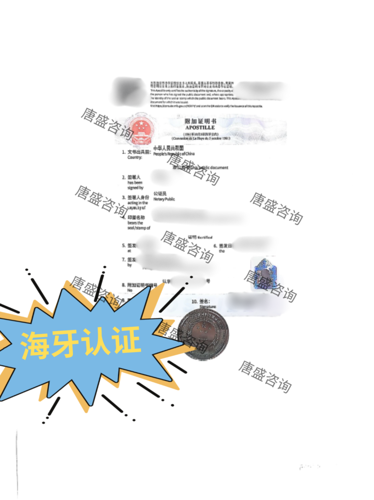5海牙认证