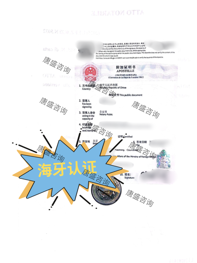无犯罪记录公证 巴西