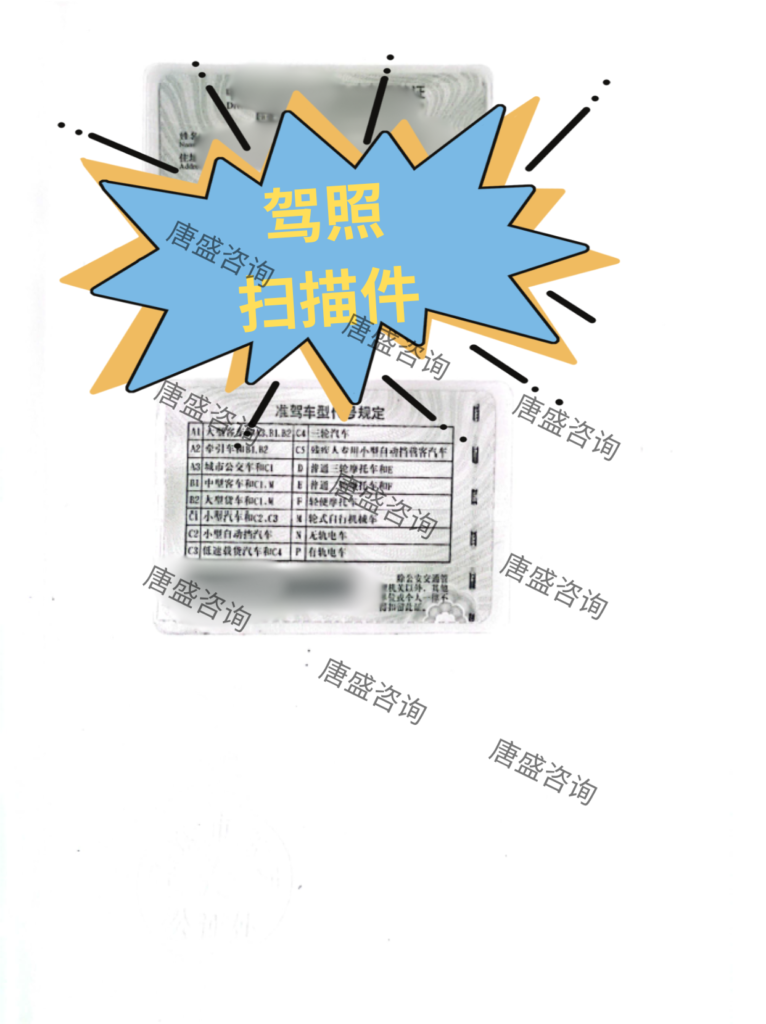 驾照公证 德国自驾