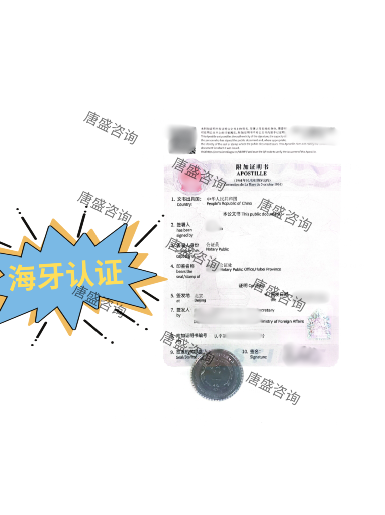 亲属关系公证 海牙认证 瑞典