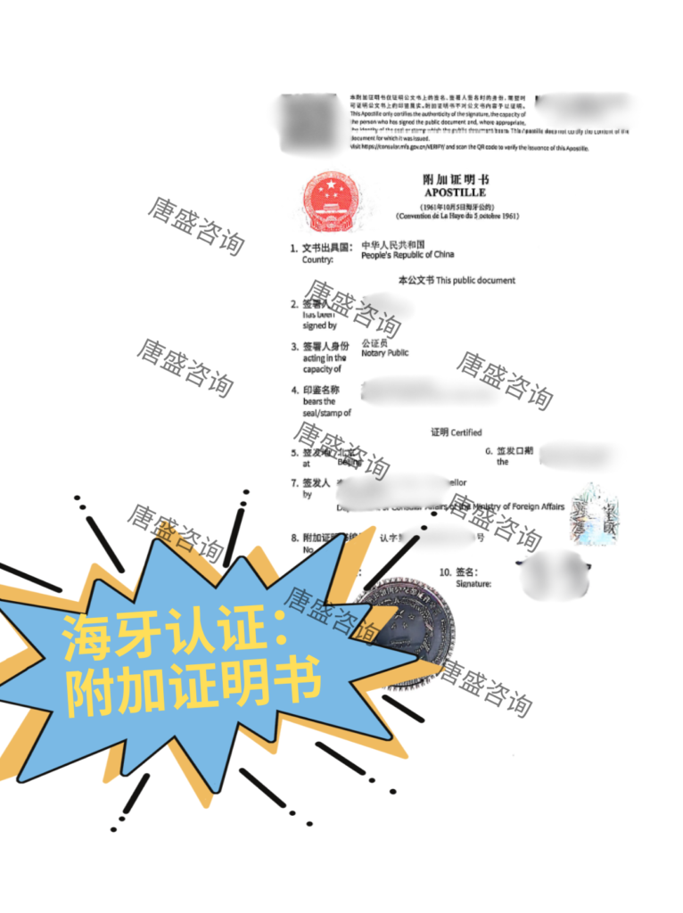 个人征信报告公证 巴基斯坦