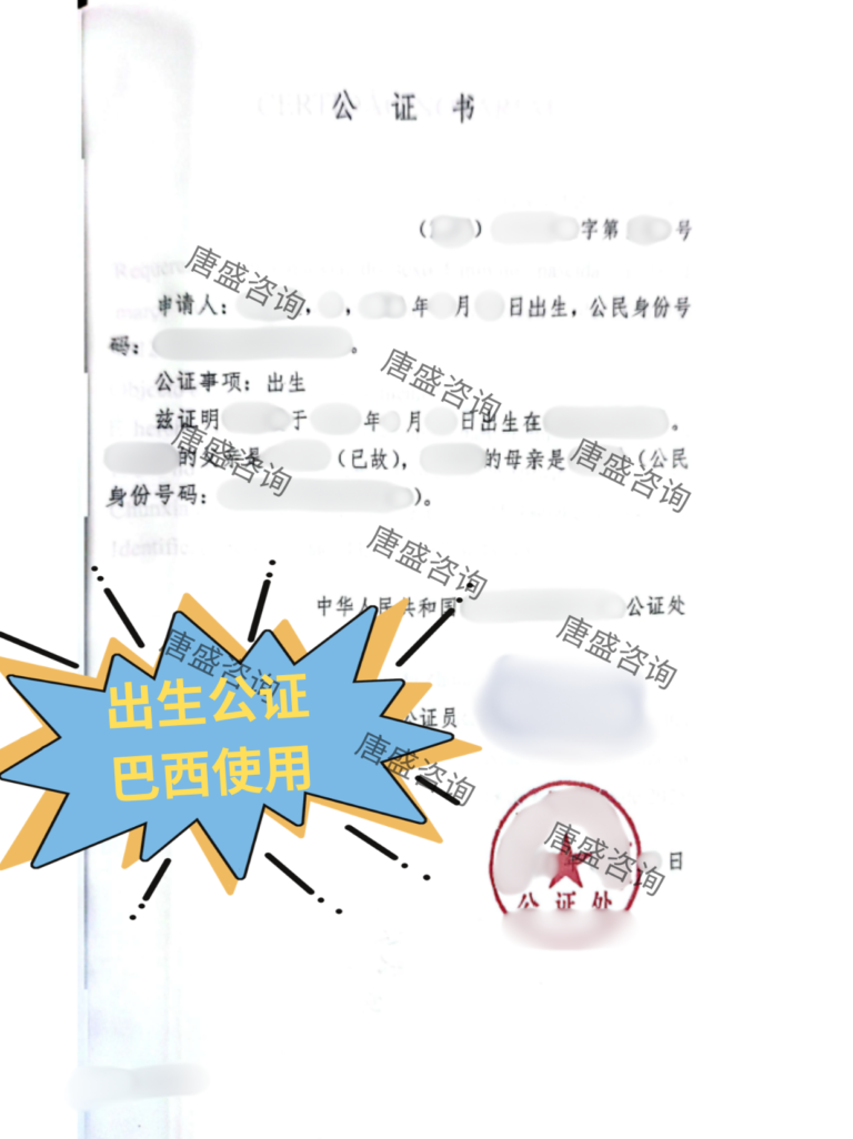 出生公证巴西