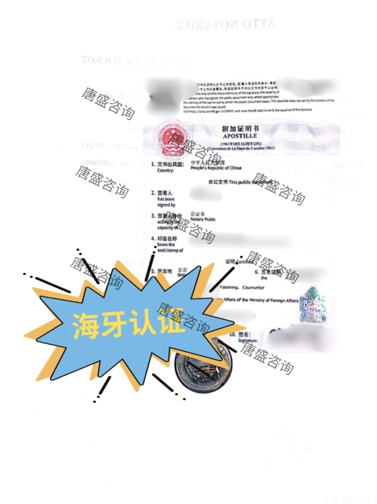 出生公证巴西
