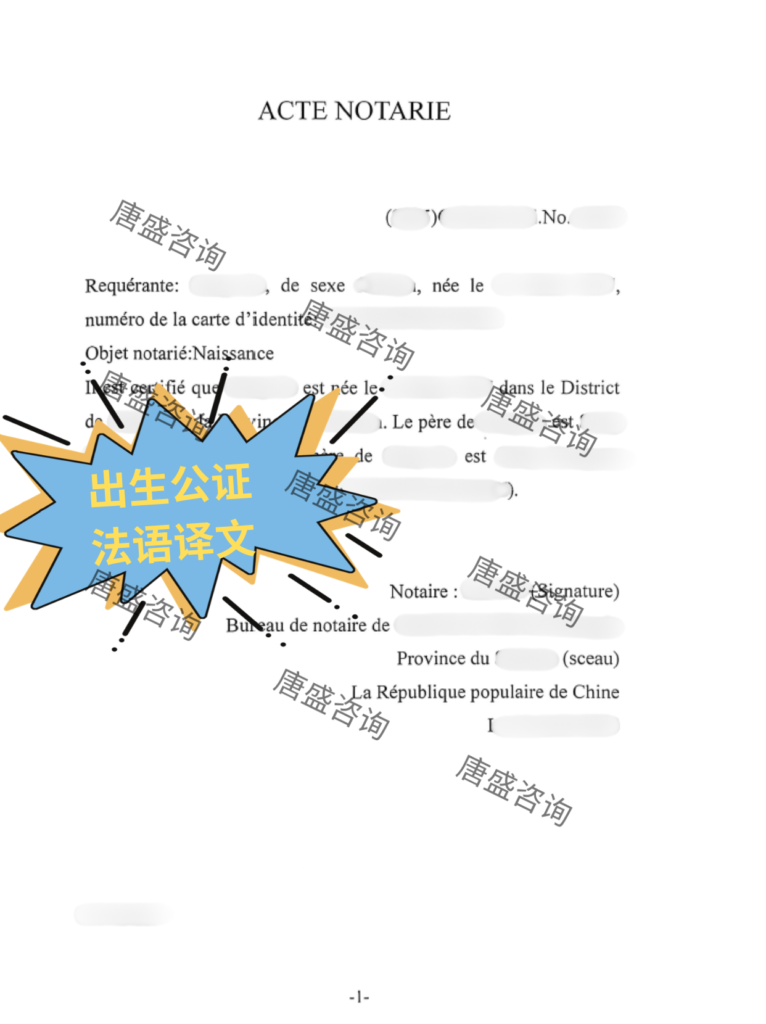 出生公证2-法语证词