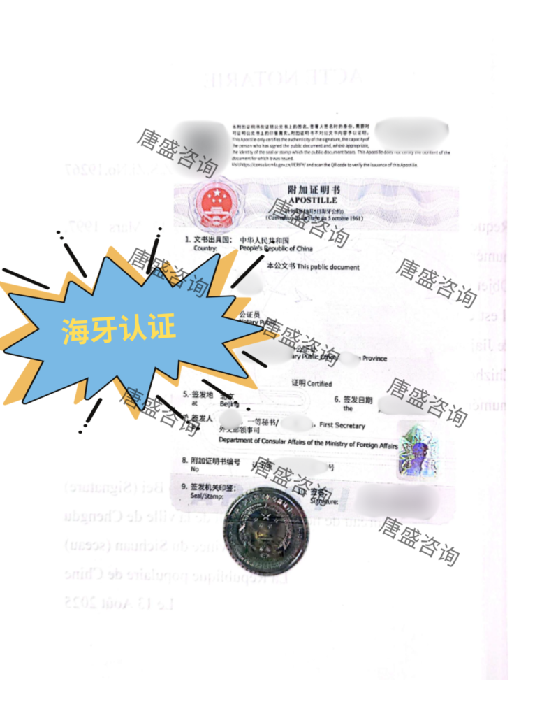 海牙认证