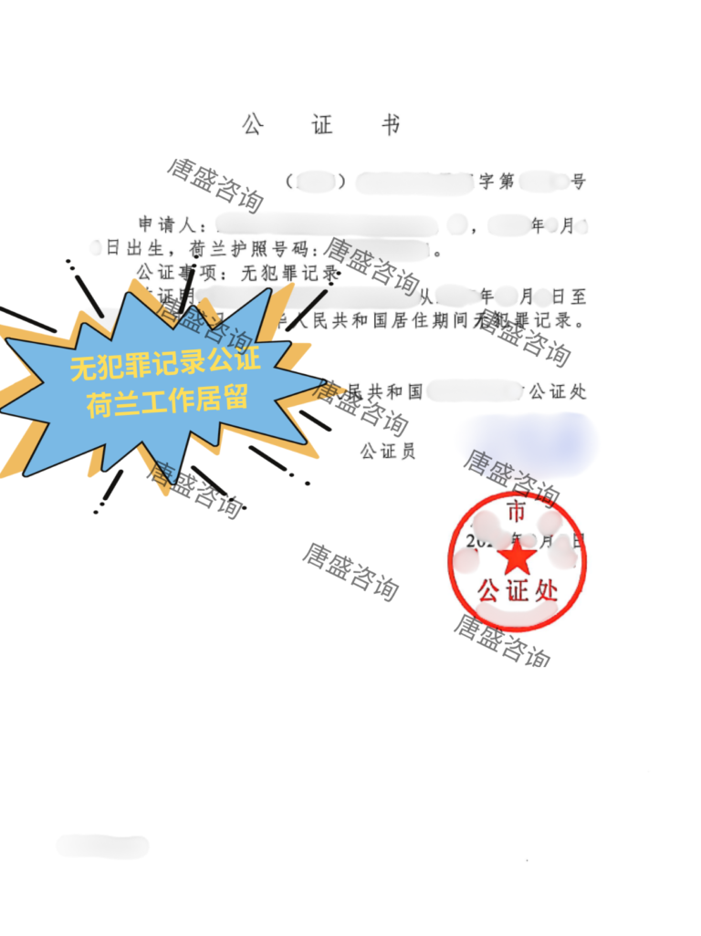 无犯罪记录公证1中文证词