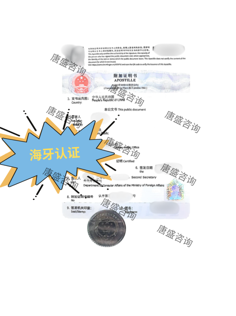 无犯罪记录公证3-海牙认证