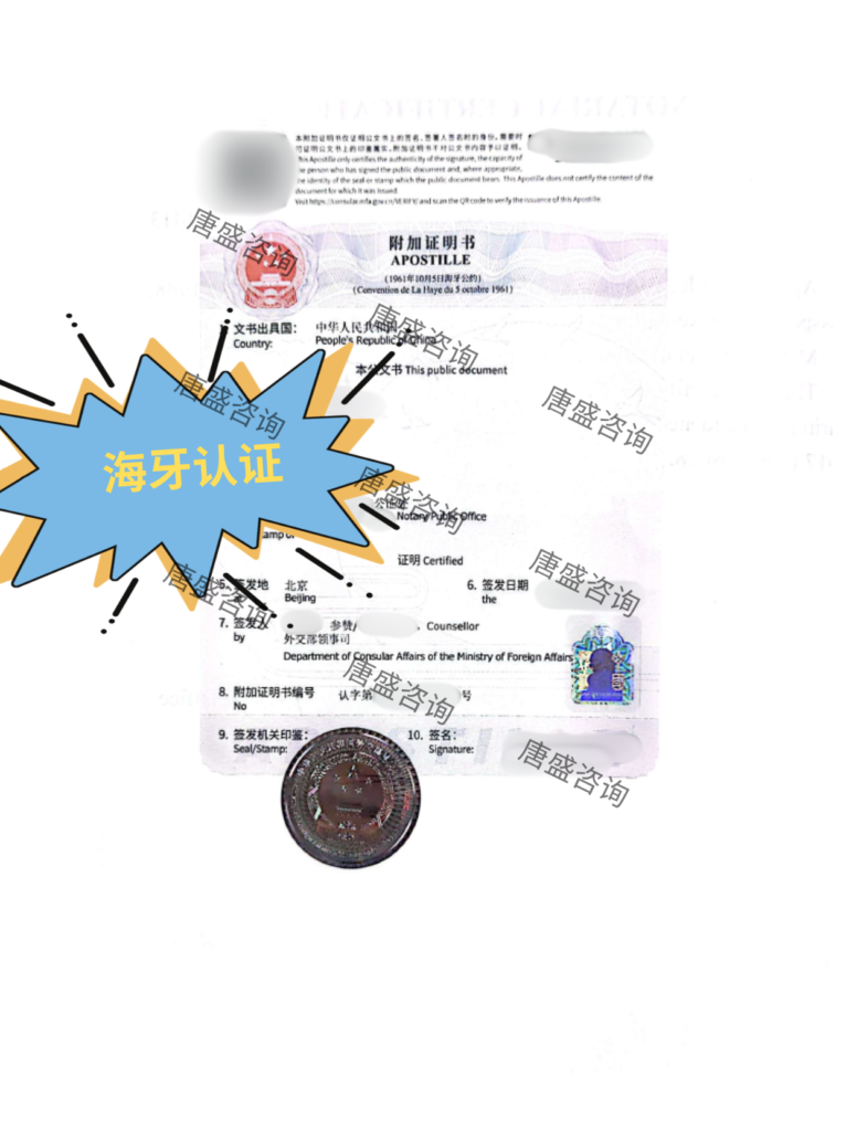 无犯罪记录公证3-海牙认证