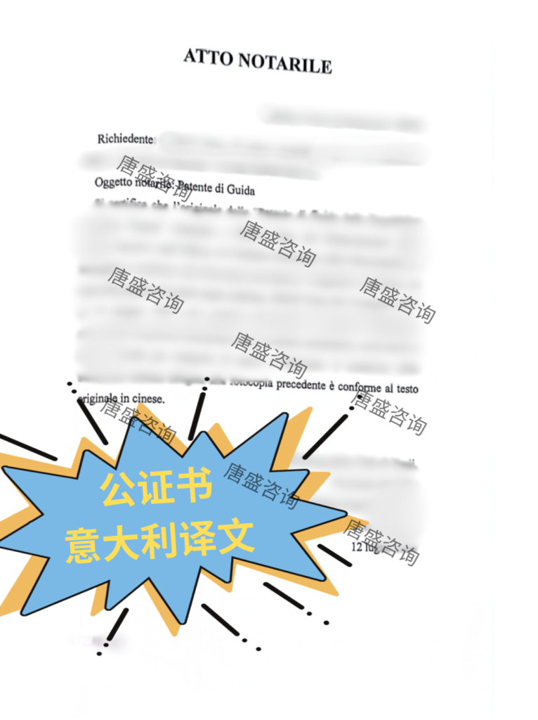 驾照公证 意大利
