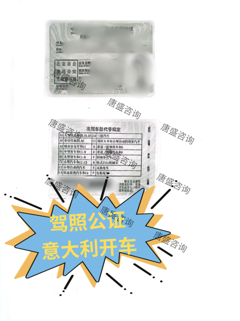 驾照公证 意大利