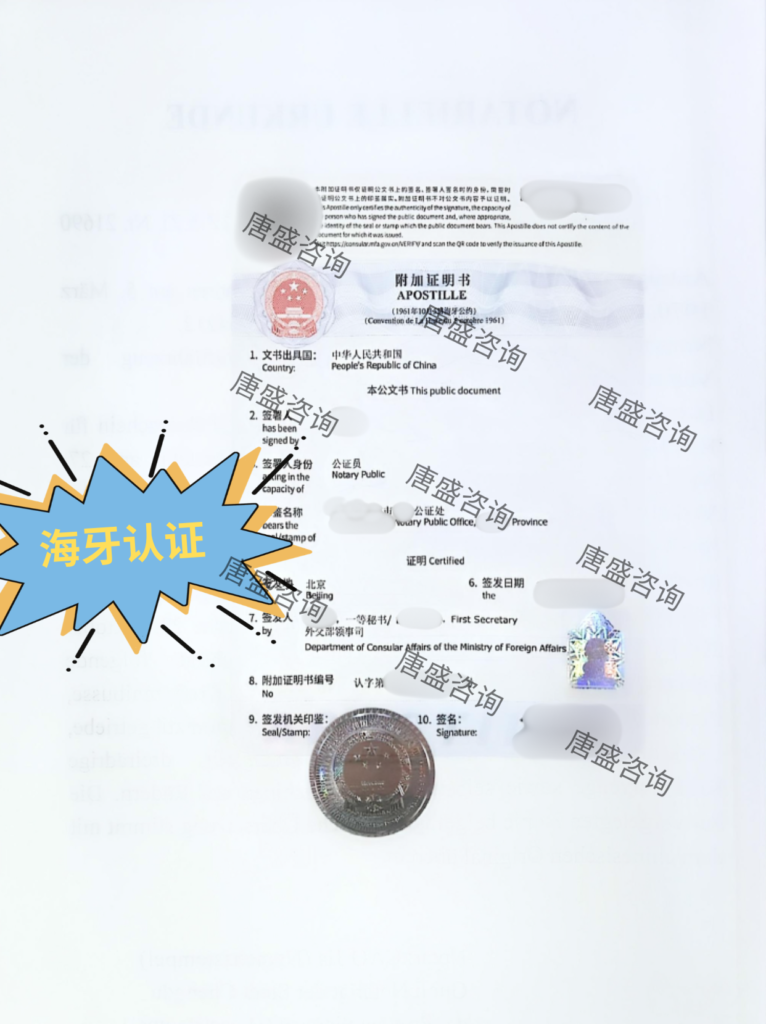 驾照公证-海牙认证