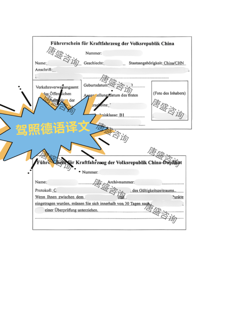 驾照公证-驾照1德语译文