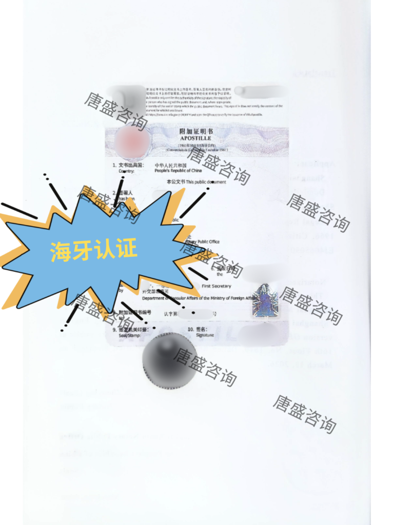 公司授权委托书公证4-海牙认证