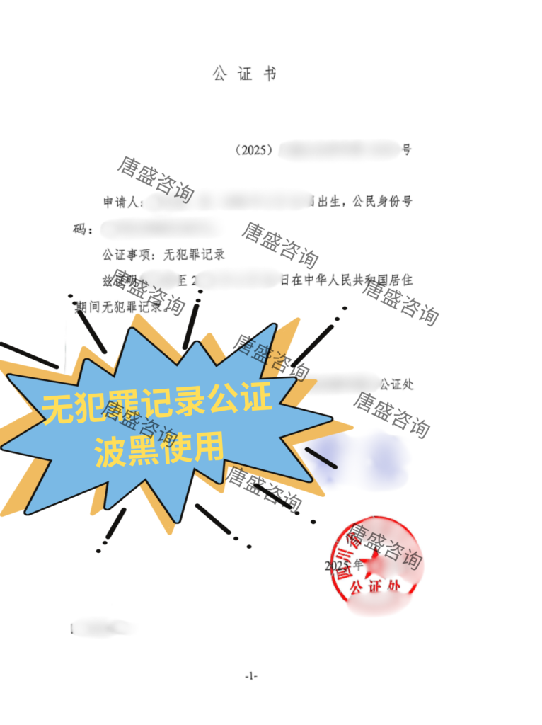 无犯罪记录公证-波黑1-中文证词