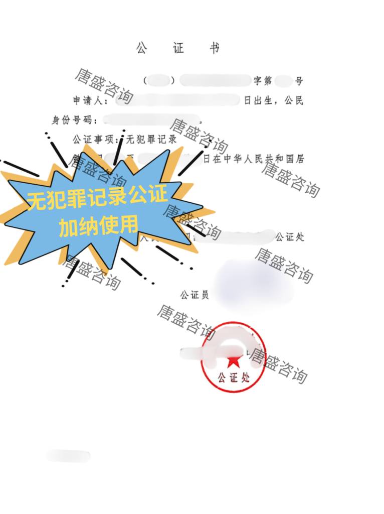 无犯罪记录公证1-中文证词