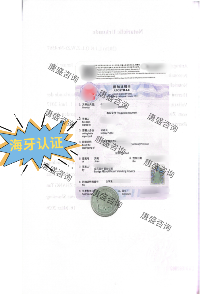 结婚证公证 荷兰 海牙认证