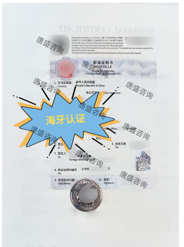 DOC欧盟符合性声明公证3-海牙认证
