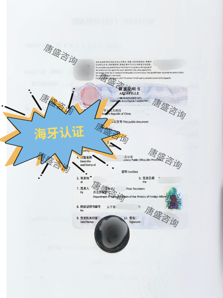 海牙认证