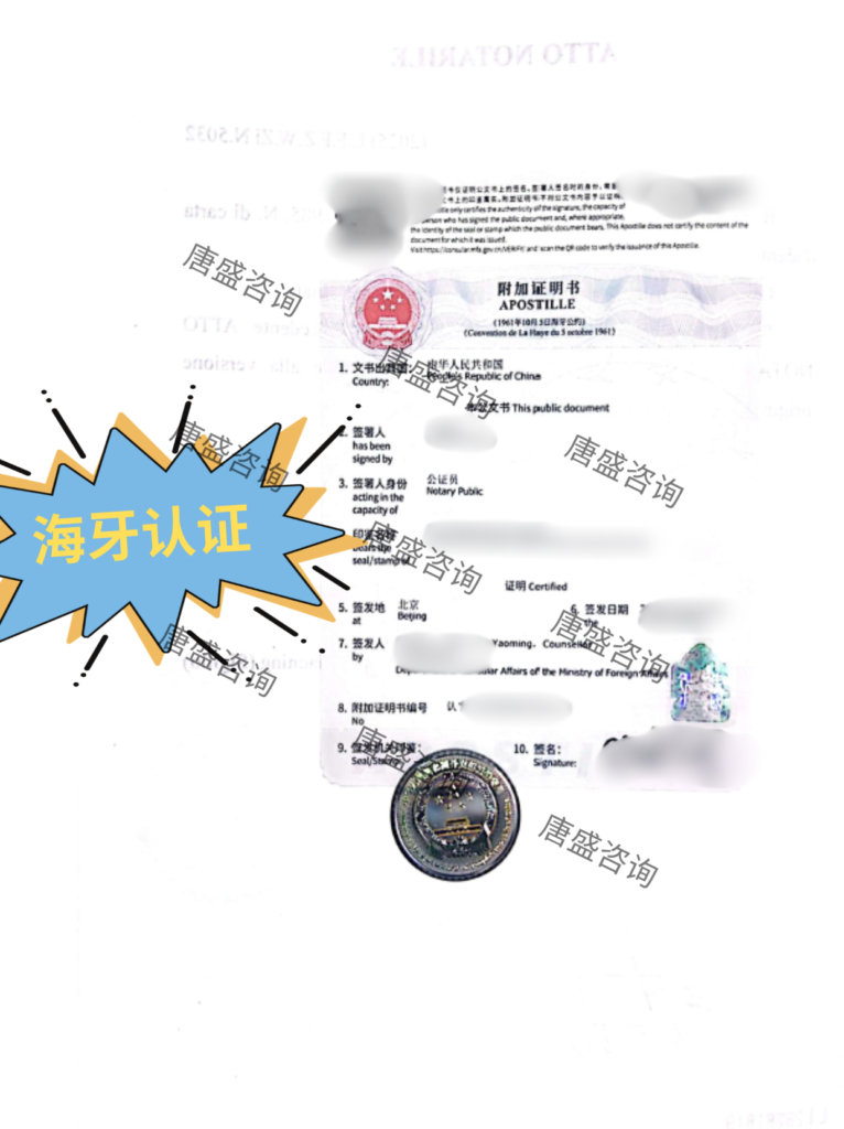 无犯罪记录公证-西班牙-3-海牙认证