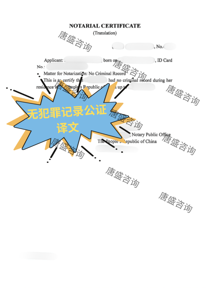 无犯罪记录公证译文