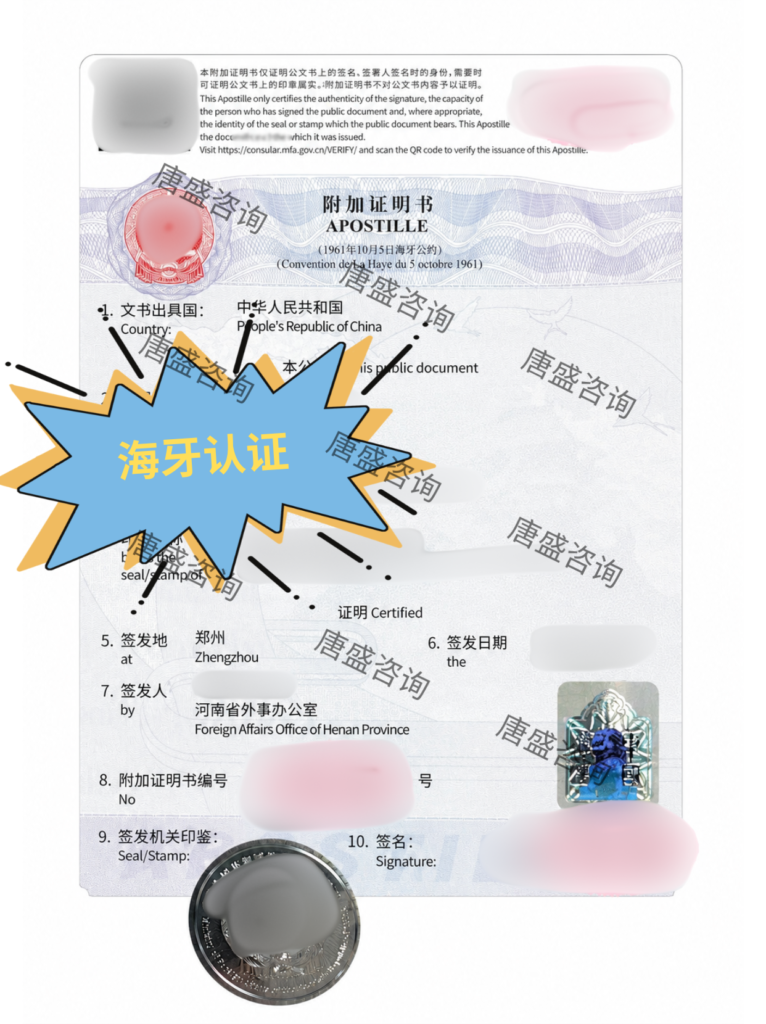 无犯罪记录公证3-河南海牙认证