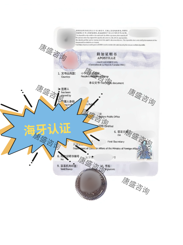 无犯罪记录证明公证-葡萄牙5-海牙认证