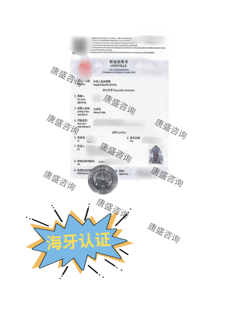 海牙认证