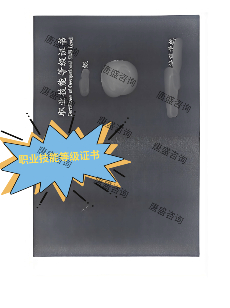 职业技能等级证书公证1-职业技能等级证书