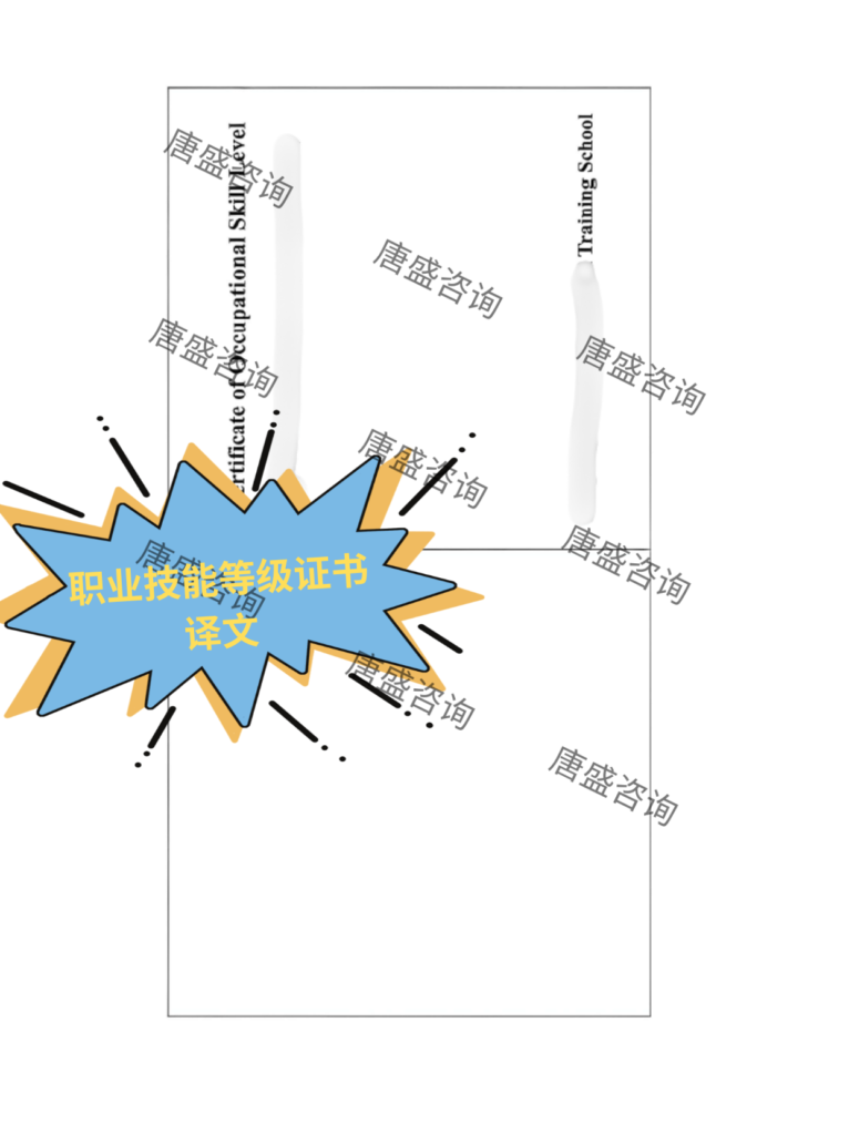职业技能等级证书公证2-职业技能等级证书译文
