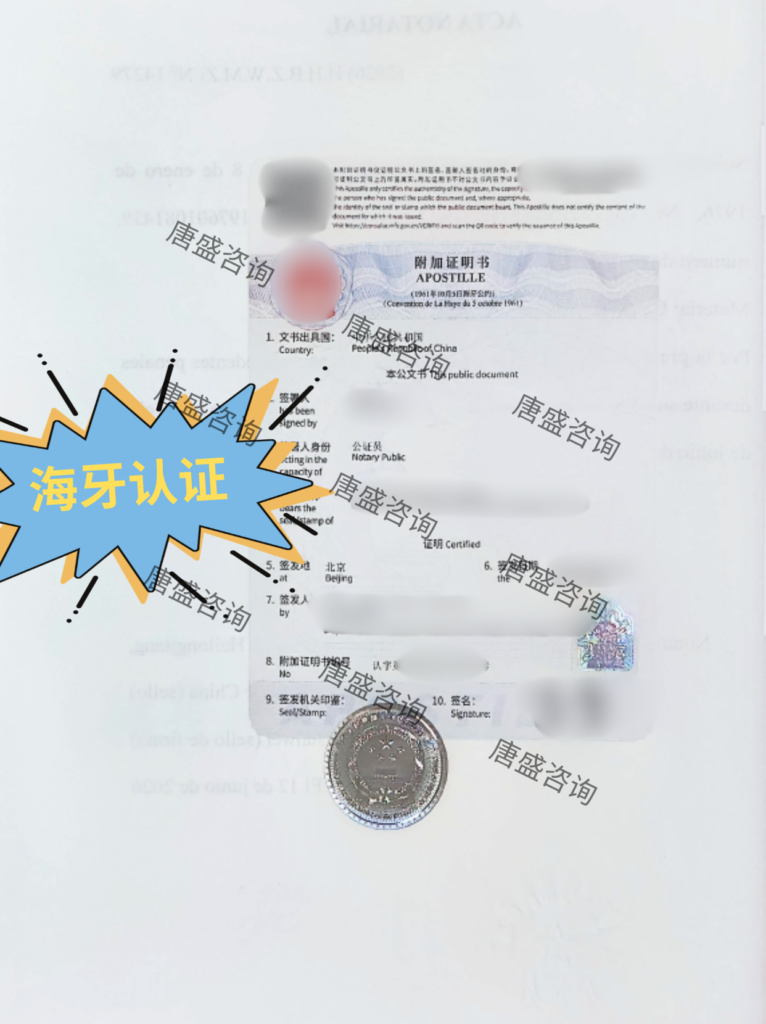 无犯罪记录公证 智利签证 (3)