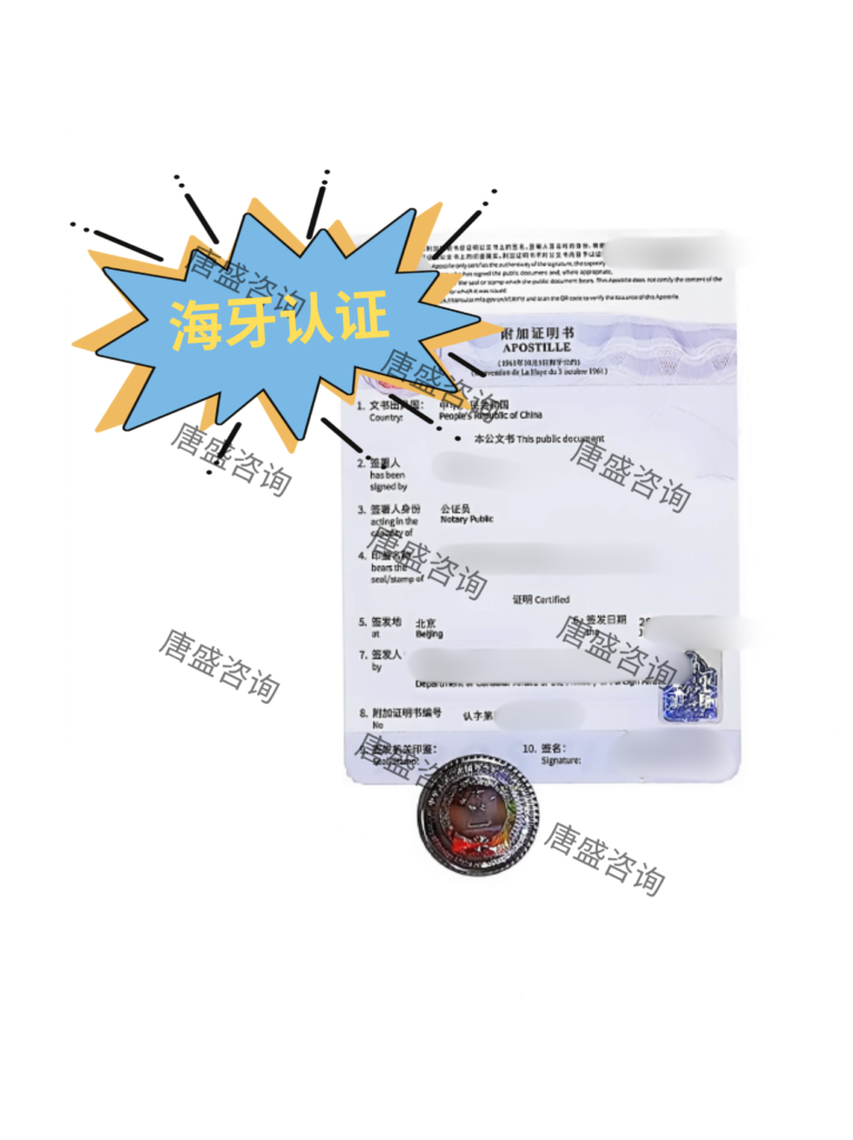 单身证明海牙认证韩国登记结婚 (4)