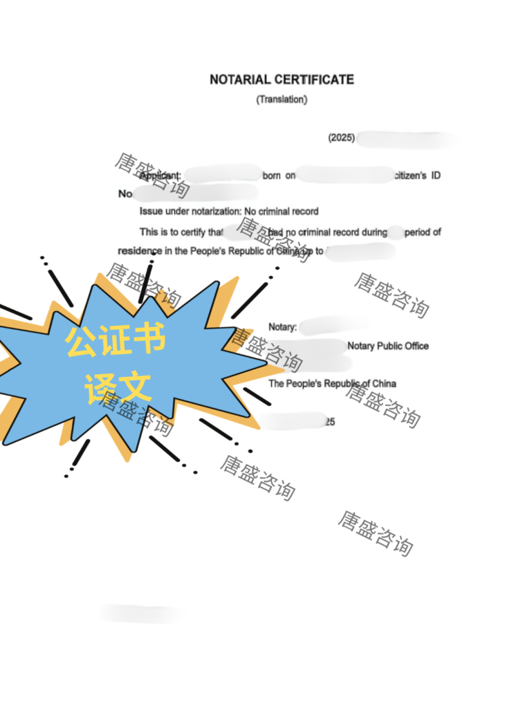 无犯罪记录公证 卡塔尔双认证 (2)
