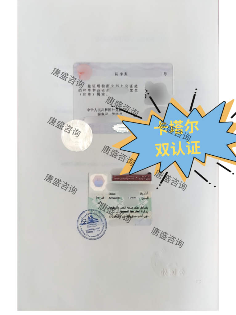 无犯罪记录公证 卡塔尔双认证 (3)