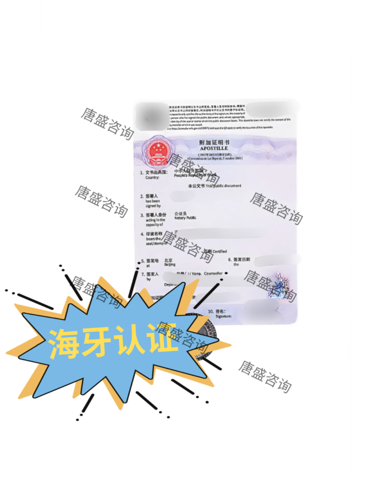 驾照公证翻译 冰岛自驾租车 (7)