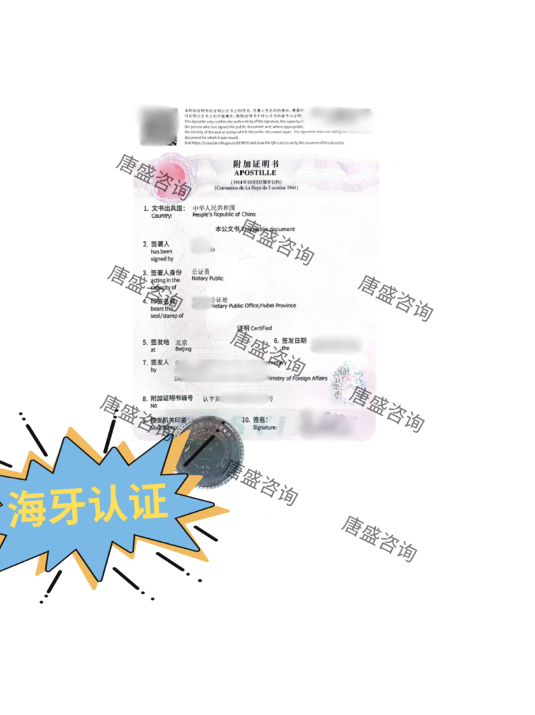 体检报告公证 希腊 (4)
